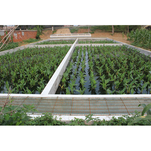 人工湿地法生活污水处理工..